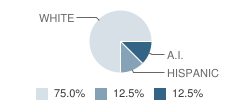 Bogus Elementary School Student Race Distribution