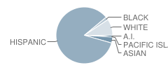 Fesler (Issac) Junior High School Student Race Distribution