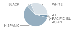 Options for Youth-Burbank Charter School Student Race Distribution