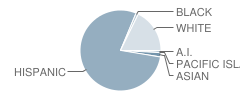 Aliso Elementary School Student Race Distribution