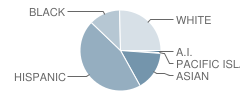 Rio Vista Middle School Student Race Distribution