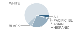 Fair View High (Continuation) School Student Race Distribution