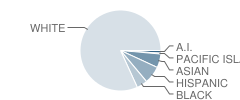 Sierra View Elementary School Student Race Distribution