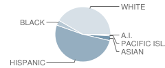 Robert L. Mueller Charter Elementary School Student Race Distribution