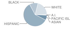 Terrace Hills Middle School Student Race Distribution