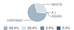 Denair Elementary School Student Race Distribution