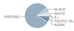 Foothill High School Student Race Distribution