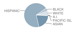 Mt. Pleasant High School Student Race Distribution