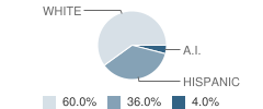 Edna Beaman Elementary School Student Race Distribution