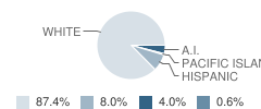 Independent Learning Center (Alternative) School Student Race Distribution