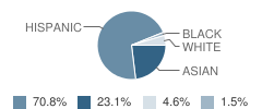 Thompson Elementary School Student Race Distribution