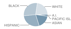 Jessie Baker School Student Race Distribution