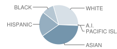 Elliott Ranch Elementary School Student Race Distribution