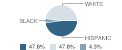 Madison Community High School Student Race Distribution