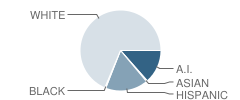 Burney Junior-High School Student Race Distribution