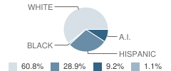 Fall River Elementary School Student Race Distribution