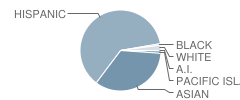 J. Wilbur Fair Junior High School Student Race Distribution