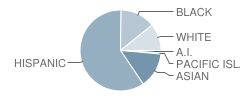 Tioga Middle School Student Race Distribution