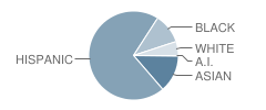 Cambridge Continuation High School Student Race Distribution