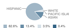 Clinton-Mendenhall Elementary School Student Race Distribution