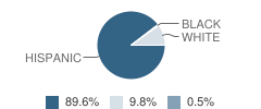 Mt. Madonna High School Student Race Distribution