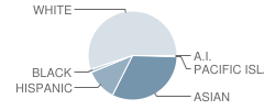 Rosemont Middle School Student Race Distribution