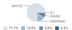 Mountain View Elementary School Student Race Distribution