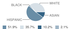 Brandon Elementary School Student Race Distribution