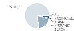 Hennessy Elementary School Student Race Distribution