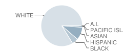 Hickman Charter School Student Race Distribution