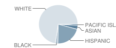 Hollywood Beach Elementary School Student Race Distribution