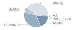 Monticello Elementary School Student Race Distribution