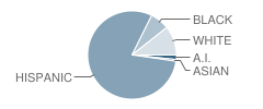 Kern Workforce 2000 Academy Student Race Distribution