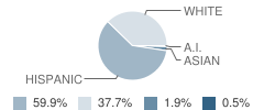 Roosevelt Elementary School Student Race Distribution