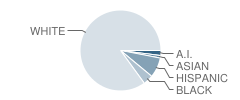 Carle (William C.) High (Continuation) School Student Race Distribution