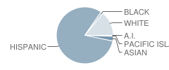 Ladera Palma Elementary School Student Race Distribution