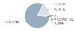 Washington Middle School Student Race Distribution