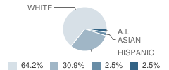 Lagunita Elementary School Student Race Distribution
