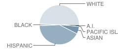 South Tahoe Middle School Student Race Distribution