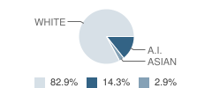 Lakeport Alternative (Home School) Student Race Distribution