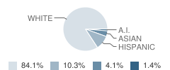 C. T. English Middle School Student Race Distribution