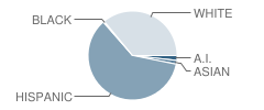 Olga L. Reed Elementary School Student Race Distribution