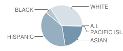 Granada Hills Charter High School Student Race Distribution