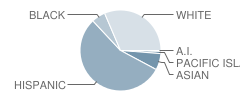 Joaquin Miller High School Student Race Distribution