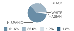 Moneta Continuation School Student Race Distribution