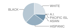 Paseo Del Rey Fundamental School Student Race Distribution