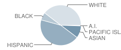 Valley Alternative Magnet School Student Race Distribution