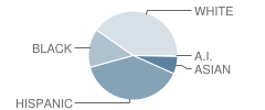 Walgrove Avenue Elementary School Student Race Distribution