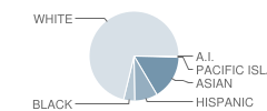 Westwood Elementary School Student Race Distribution