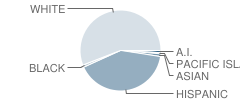 Olive Grove School Student Race Distribution